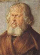 Albrecht Durer Hieronymus Holzschuher (mk45) painting